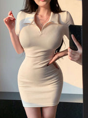 Polo Neck Bodycon Dress