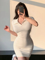 Polo Neck Bodycon Dress